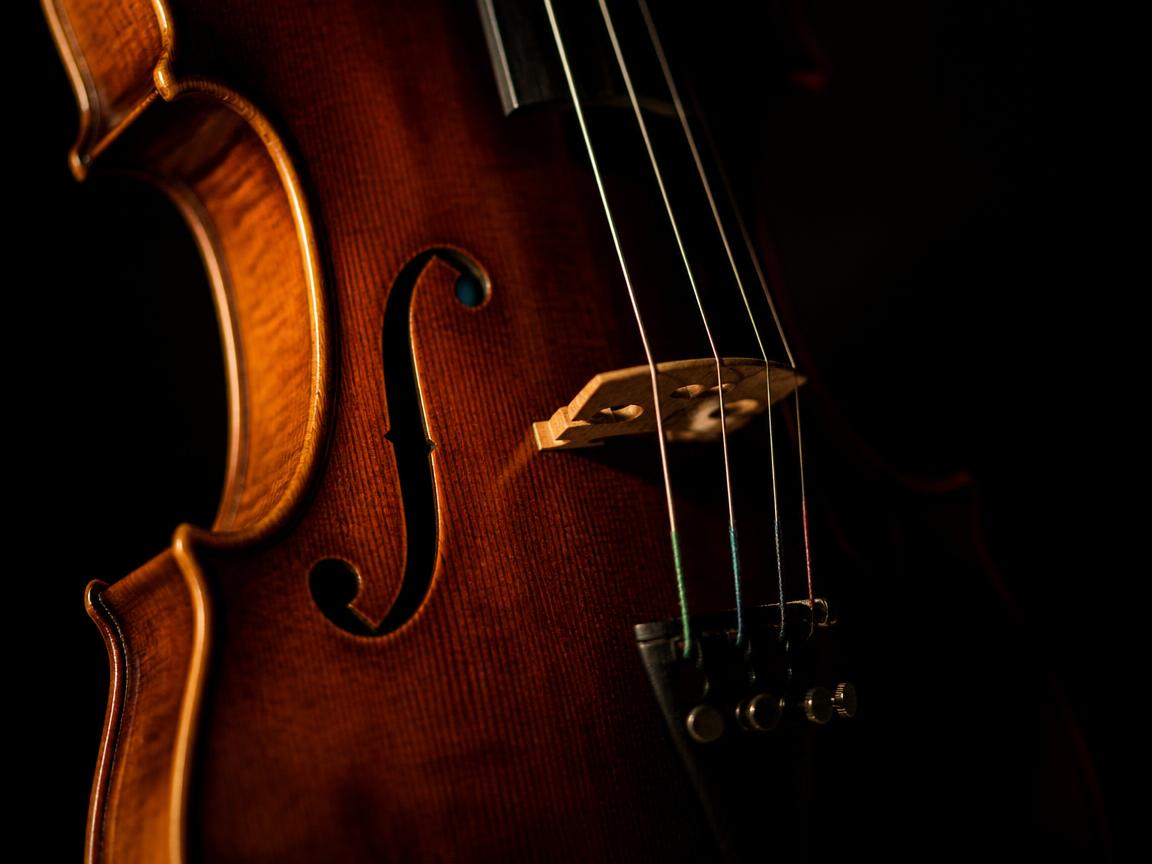 Violin lessons at Viva Music Academy